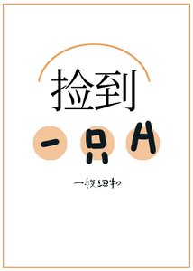捡到了一只A