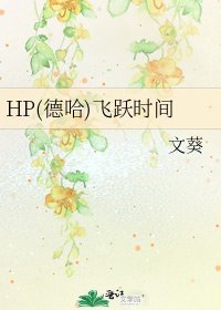 (HP同人)HP(德哈)飞跃时间
