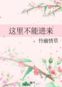 這裏不能進來